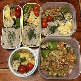 作り置き〜キーマカレー×雑穀米弁当 作り置き〜キーマカレー×雑穀米弁当 キーマカレー,カレー,自炊の写真素材