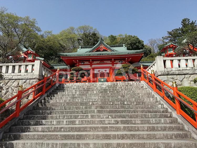 青空と緑が美しい朱塗りの足利織姫神社③ 足利織姫神社,神社,栃木県の写真素材