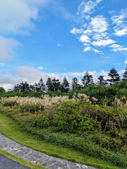 沖縄　残波岬周辺の風景の写真
