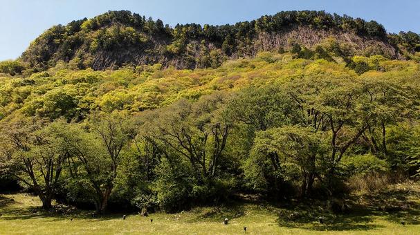 聳え立つ屏風岩 聳え立つ屏風岩の写真