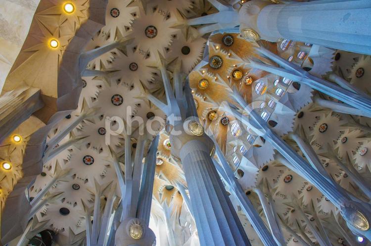 サグラダファミリア サグラダファミリア,ガウディ,スペインの写真素材