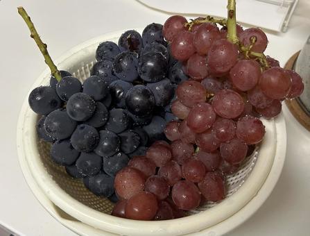 ぶどう デザート,ぶどう,葡萄の写真素材