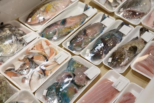 魚介類 魚介類 イメージ,素材,フリーの写真素材