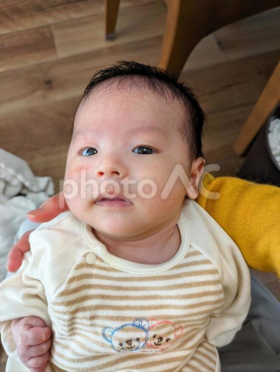 カメラを見つめる赤ちゃん 赤ちゃん,ベビー,赤ん坊の写真素材