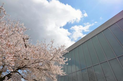 高梁市成羽美術館 高梁市成羽美術館,安藤忠雄,コンクリートの写真素材