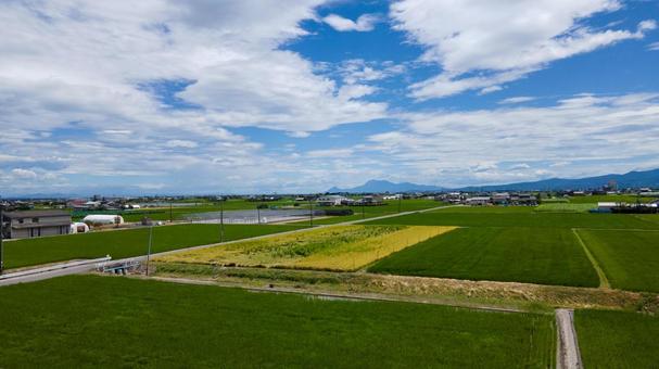 佐賀県杵島郡白石町の風景 空撮写真 佐賀県杵島郡白石町の風景 空撮写真の写真