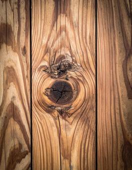 木目を強調した木の断面のテクスチャの写真