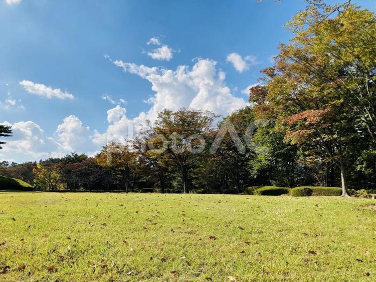 秋の訪れを感じる公園と空 公園,木々,木の写真素材