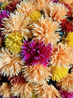 カラフル 花,カラフル,赤の写真素材