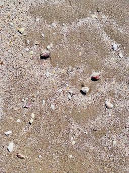 砂浜 砂浜の写真