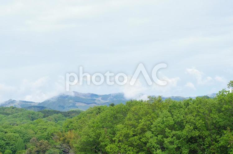 雨上がりの里山の山並み 雨上がり,里山,山並みの写真素材