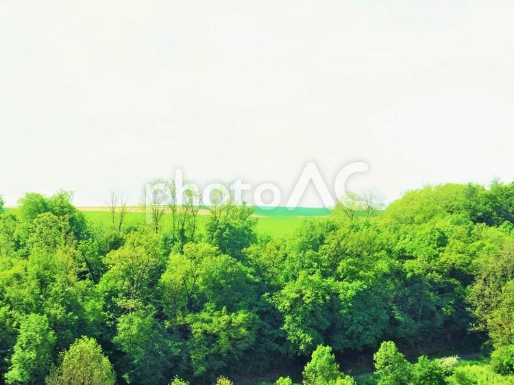 ブルク庭園からの眺望２　タウパー峡谷５月 ドイツ,ローテンブルク,５月の写真素材