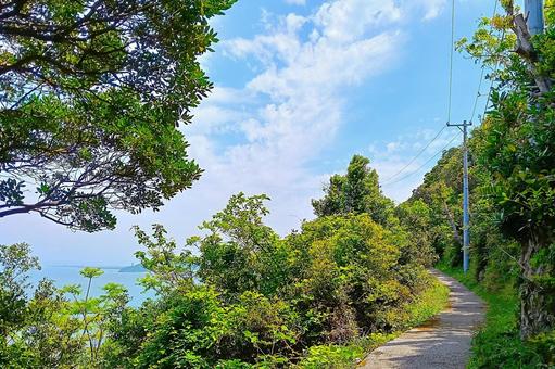 神島の遊歩道 神島の遊歩道 神島,三重県,鳥羽の写真素材