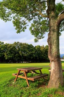 ベンチ 公園 ベンチ 公園 ベンチ,公園,自然の写真素材