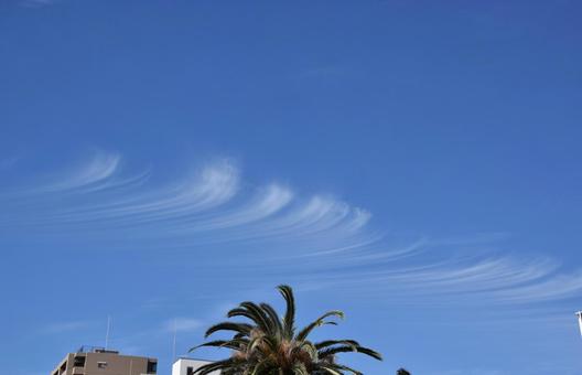 巻雲(2021.10)№1 巻雲(2021.10)№1の写真