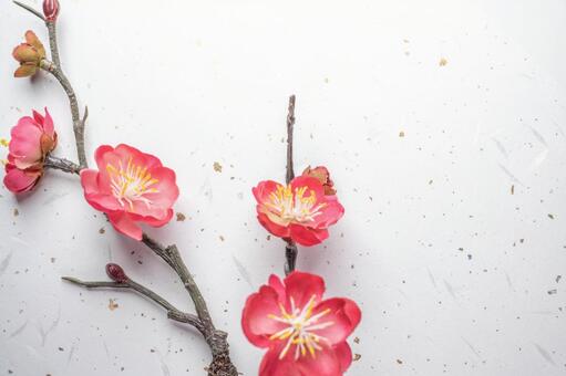紅梅の造花が上品に彩る和風背景 紅梅,梅,花の写真素材