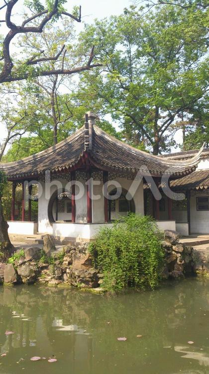 中国江蘇省蘇州庭園拙政園 拙政園,中国,蘇州の写真素材