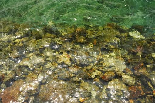鹿児島 指宿 池田湖のきらめく水面1 鹿児島 指宿 池田湖のきらめく水面1 池田湖,水面,きらめきの写真素材