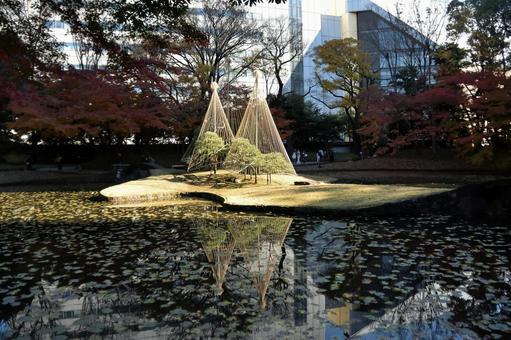 小石川後楽園の風景 小石川後楽園の風景の写真