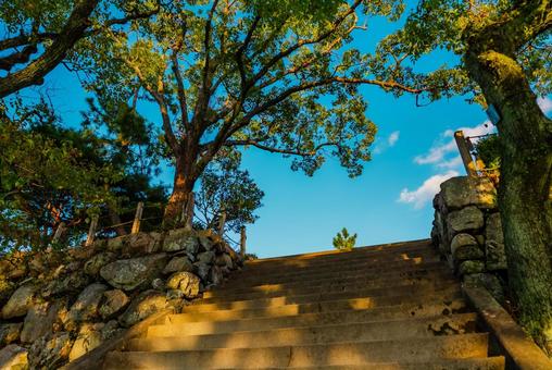 【佐賀】佐賀城跡の周辺 佐賀,佐賀城跡,城跡の写真素材