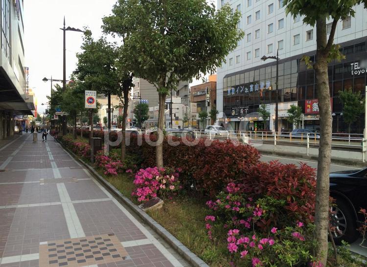 夕方の富山駅近くの市街地の風景、歩道道路 富山地方鉄道富山軌道線,富山県道22号富山停車場線,県道の写真素材