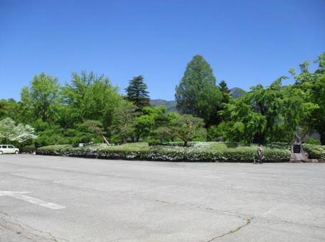 グリーン長野 グリーン長野 木,公園,緑の写真素材