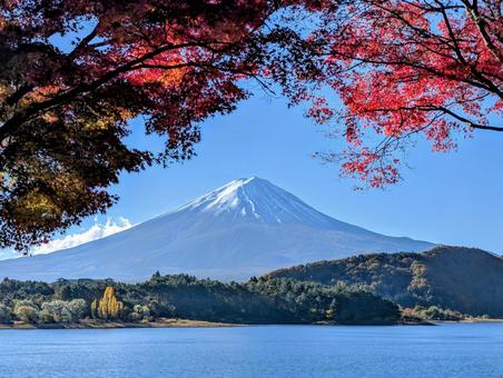 秋めく河口湖の風景 富士山,秋,紅葉の写真素材