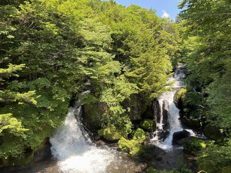 九頭竜の滝（茶屋方面から） 日光,宇都宮,滝の写真素材