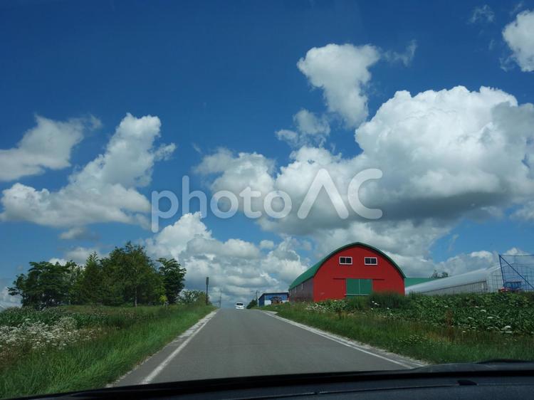 これぞ北海道の夏道　美唄　　 美瑛,道,道路の写真素材