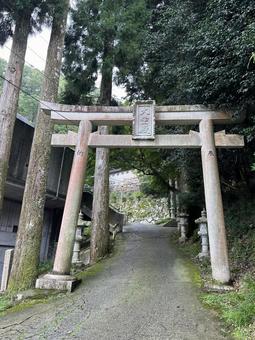妙見山本瀧寺の鳥居 妙見山本瀧寺の鳥居の写真