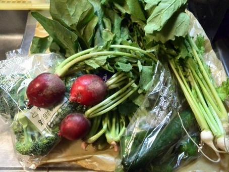 新鮮野菜盛り 新鮮野菜盛り 野菜,緑黄色野菜,野菜盛りの写真素材