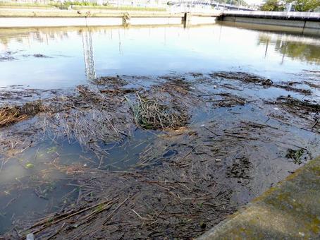 大雨で溢れそうになった遊水池 大雨で溢れそうになった遊水池 遊水池,水,貯めるの写真素材