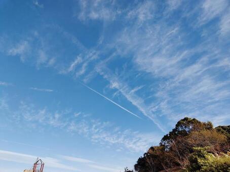 空と森 紅葉,空,雲の写真素材