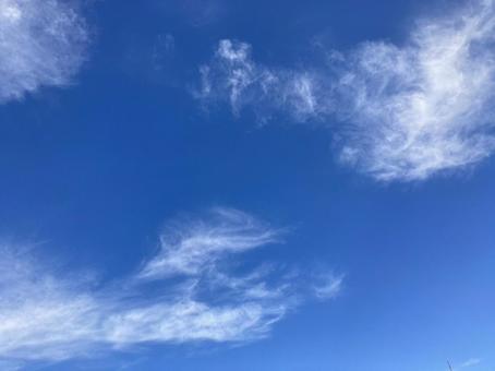 秋の雲 秋の雲の写真