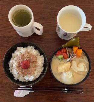 ご飯にかつお梅と具沢山みそ汁などの朝食 ご飯にかつお梅と具沢山みそ汁などの朝食 朝食,あきたこまち,ご飯の写真素材