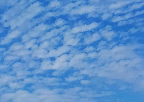 空 雲 うろこ雲 空 雲 うろこ雲 うろこ雲,空,雲の写真素材