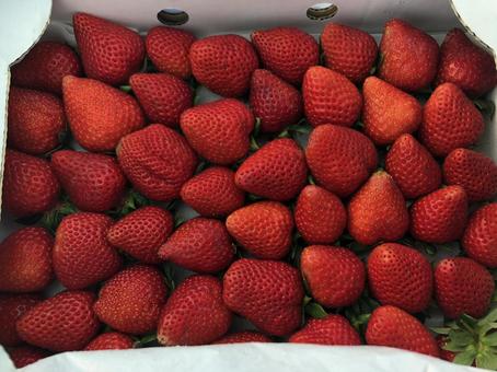 Dad's homemade strawberries, JPG Dad's homemade strawberries, JPG
