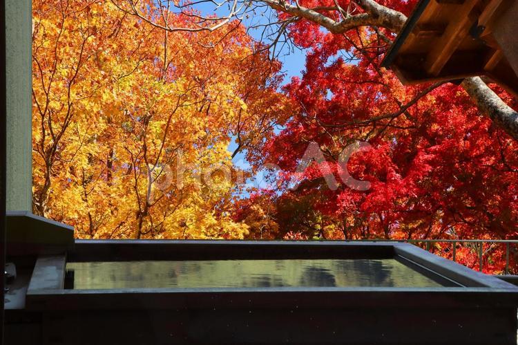 紅葉と温泉のイメージ 温泉,露天風呂,旅の写真素材