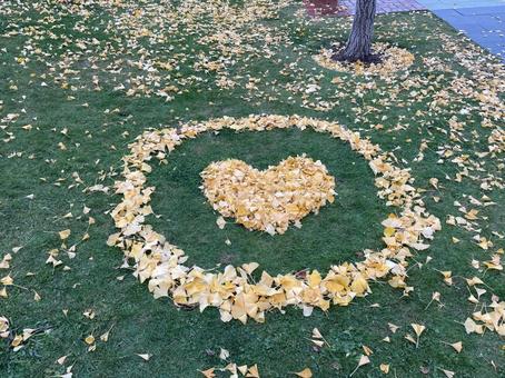 ハートの落ち葉 落ち葉,秋,ハートの写真素材