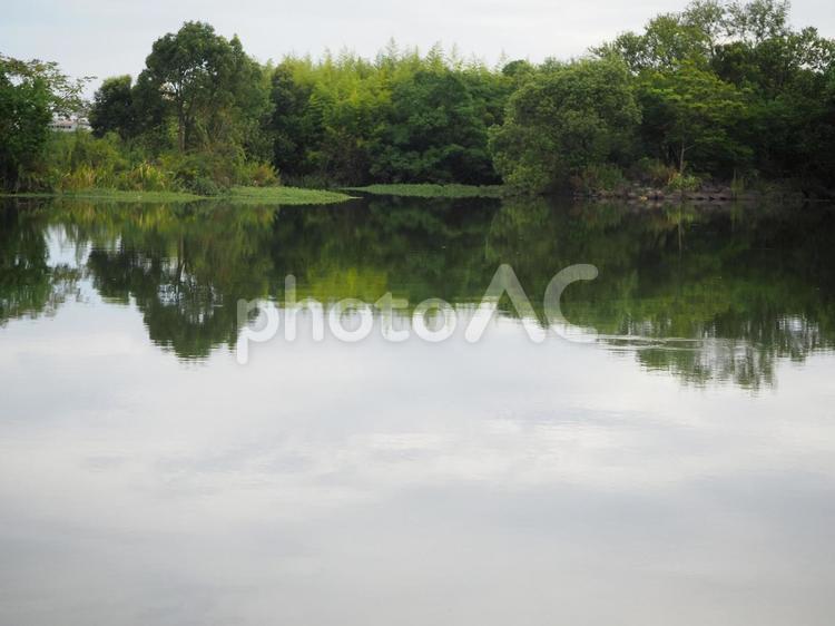 水のある風景 反射,旅,川の写真素材