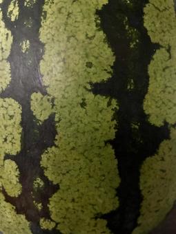 Photo, watermelon, a watermelon, food, 