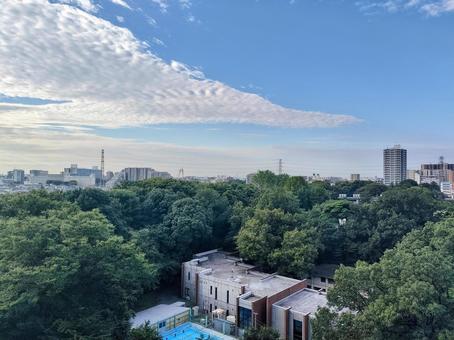 ベランダからの風景・秋の空 ベランダからの風景・秋の空 秋の空,晴れ,イワシ雲の写真素材