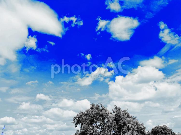 空　雲　美しい　ふわふわ　木　もくもく　ナチュラル　背景　バックグラウンド　　淡い 空,雲,美しいの写真素材
