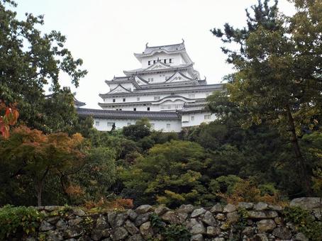 【風景写真】姫路城の風景 【風景写真】姫路城の風景 姫路城,天守閣,木造の写真素材