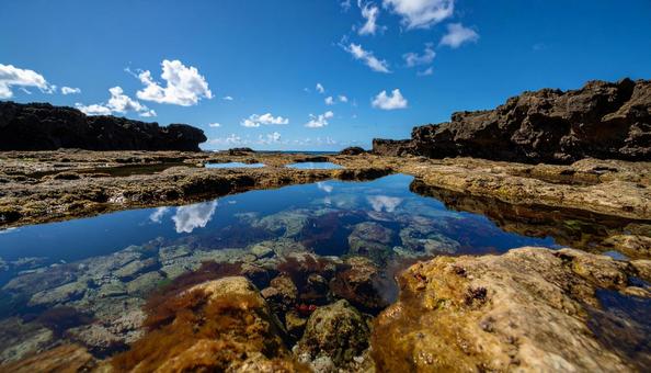 岩場の海岸と青空の写真