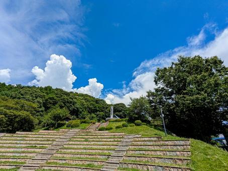 立石公園 立石公園,夏,公園の写真素材