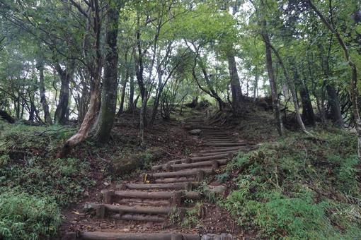 山の階段の写真
