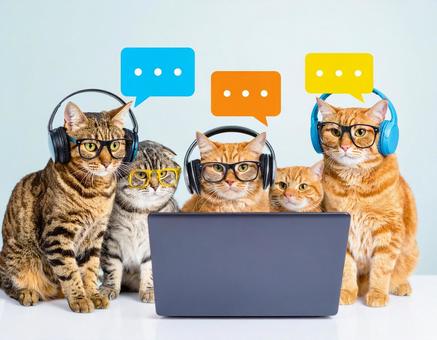 在宅ワークの写真