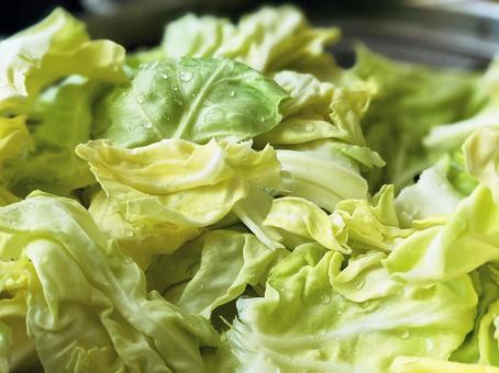 手ちぎり生キャベツ キャベツ,きゃべつ,ちぎったの写真素材
