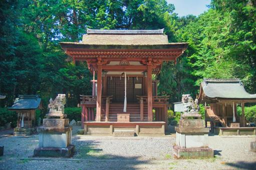 苗村神社 苗村神社 西本殿,西本宮,空の写真素材